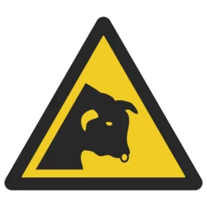 ostrzeżenie przed bykiem